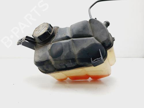 Expansion tank FORD MONDEO IV (BA7)  | BP24103908C120 