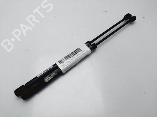 tailgate-lift-support-renault-scenic-i-mpv-ja01_-fa0_-1999-2000-2001-2002-2003-2004-2005-2006-2007-2008-2009-2010-32032618 main image