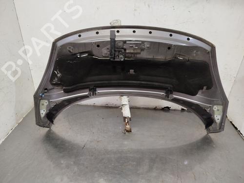Hood RENAULT SCÉNIC III (JZ0/1_)  | BP25902767C1