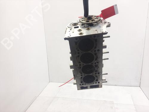 Cylinder head FIAT FIORINO Box Body/MPV (225_)  | BP29616841M5 