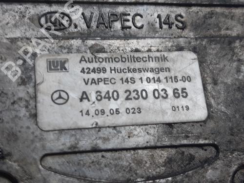 Vacuum pump MERCEDES-BENZ A-CLASS (W169) A 180 CDI (169.007, 169.307) | BP8333981M80 