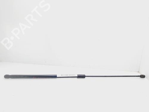 Hood lift support AUDI A4 B8 (8K2)  | BP27474067C139 