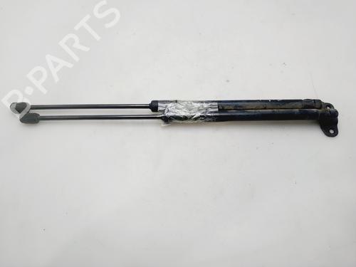 tailgate-lift-support-skoda-fabia-iii-nj3-2014-2015-2016-2017-2018-2019-2020-2021-32384761 main image