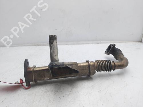 Egr NISSAN PATHFINDER III (R51) 2.5 dCi | BP19512531M69 