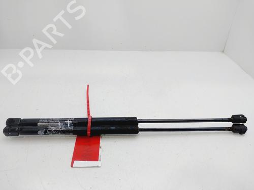 Tailgate lift support SEAT LEON (1M1)  | BP26719493C138 