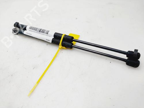 Used Tailgate lift support CHEVROLET AVEO / KALOS Hatchback (T200) 1.4 (83 hp) 22190125