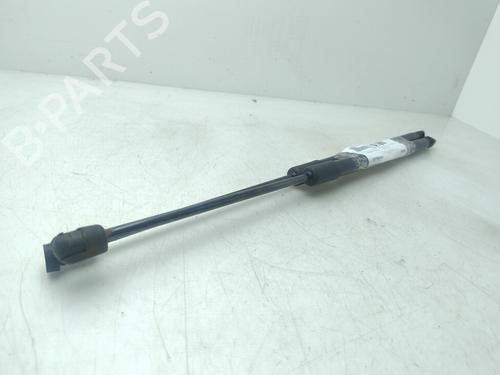 Tailgate lift support HYUNDAI ix55  | BP29549583C138 