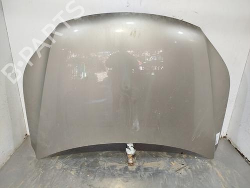 Used Hood VW TIGUAN (5N_) [2007-2018]  24641932