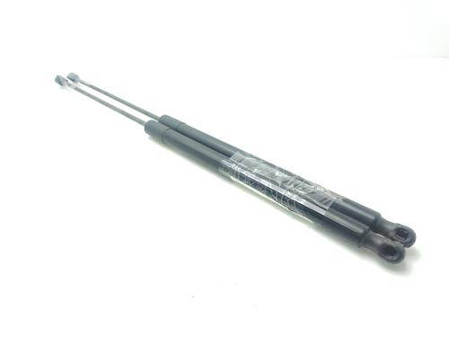 Tailgate lift support FORD KUGA I  | BP27090823C138 