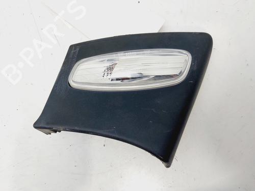 Left side indicator PEUGEOT 207 (WA_, WC_)  | BP29822561I20 