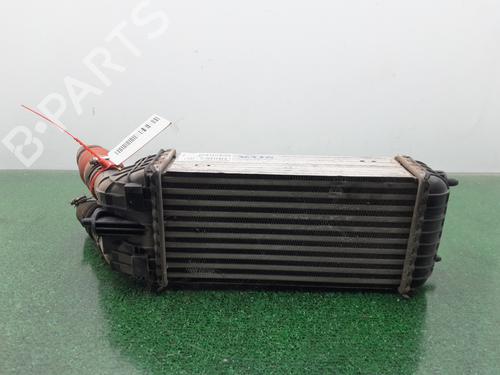 Intercooler CITROËN C3 II (SC_) 1.6 BlueHDi 75 | BP29326300M30 