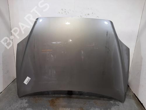 Hood FIAT CROMA (194_) 1.9 D Multijet (194AXC1B, 194AXC12) (150 hp) 51803276 |