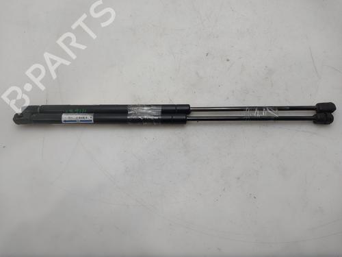 tailgate-lift-support-citroen-c5-ii-rc_-2004-2005-2006-2007-2008-34623027 main image