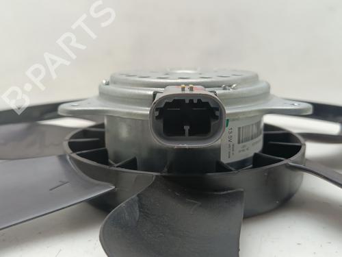 Fan DACIA SANDERO III  | BP29519196M128 
