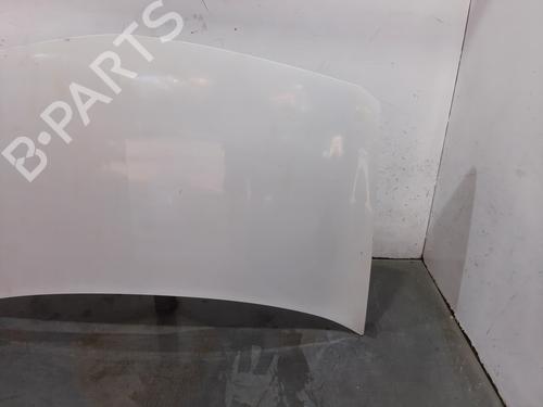 Hood RENAULT MEGANE II (BM0/1_, CM0/1_) 1.5 dCi (BM02, BM13, BM2A, CM02, CM13) | BP13914746C1 
