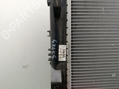 Water radiator DACIA DOKKER Box Body/MPV | BP32411053M31
