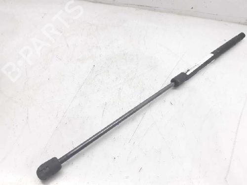 Used Hood lift support SEAT TOLEDO II (1M2) 1.6 16V (105 hp) 13993457