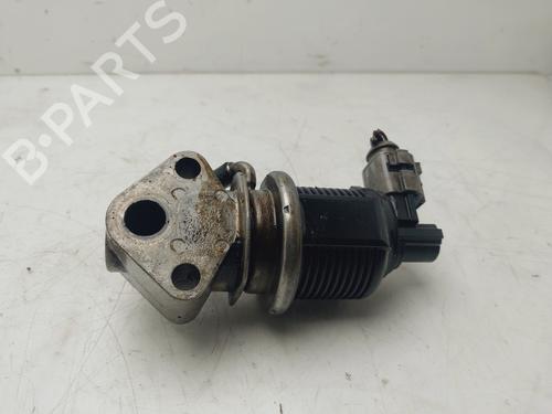Egr SEAT IBIZA III (6L1)  | BP26610316M69 