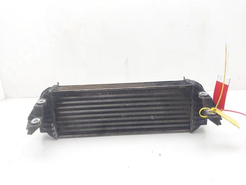 Used Intercooler FORD TOURNEO CONNECT 1.8 TDCi (110 hp) 16119580