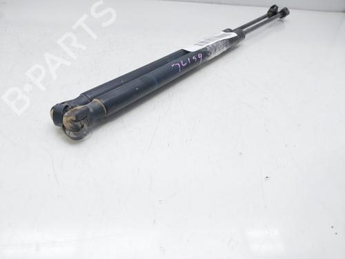 Used Tailgate lift support RENAULT SCÉNIC II (JM0/1_) [2003-2010]  15284899