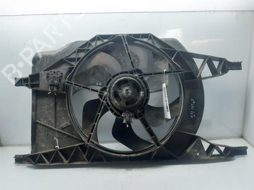 Radiator fan RENAULT ESPACE IV (JK0/1_) 2.2 dCi (JK0H) (150 hp) 7989490