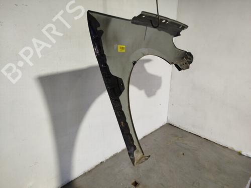 Left front fenders VW PASSAT CC B6 (357) 2.0 TDI | BP30961397C41