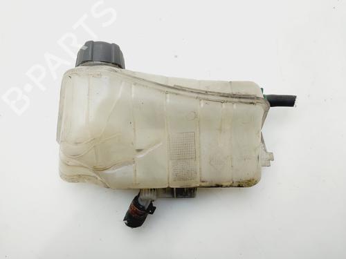 Used Expansion tank RENAULT KANGOO BE BOP (KW0/1_) 1.5 dCi 75 (75 hp) 32015580