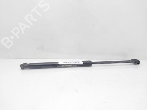 Tailgate lift support FORD FIESTA VI (CB1, CCN) 1.5 TDCi | BP14009755C138 