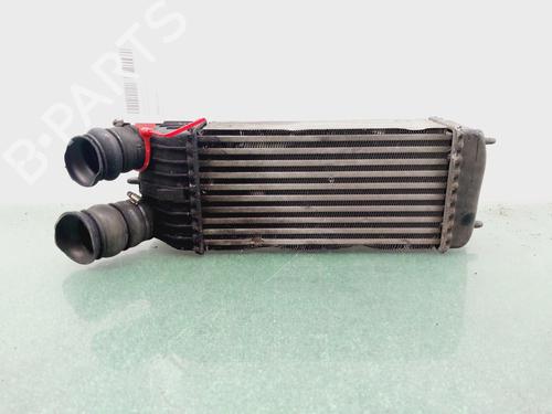 Intercooler CITROËN C3 Picasso (SH_) [2008-2026]  31352419