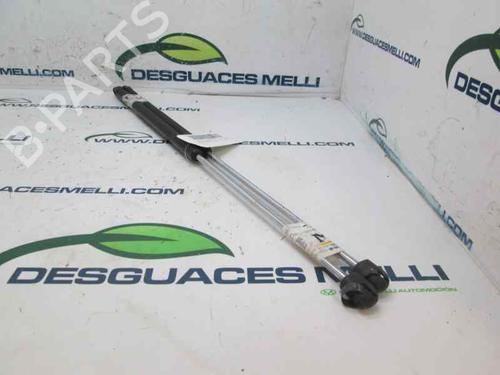 Used Tailgate lift support CITROËN XSARA Break (N2) [1997-2010]  14010120