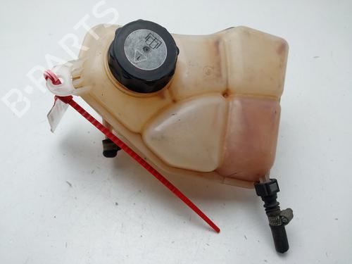 Used Expansion tank FORD FIESTA V (JH_, JD_) 1.25 16V (70 hp) 28064173
