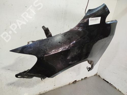 Left front fenders VW GOLF PLUS V (5M1, 521) 1.9 TDI | BP27473217C41 