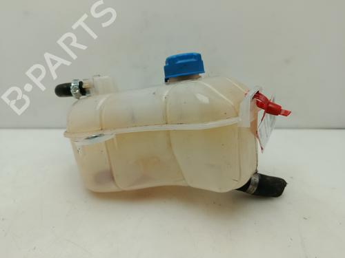 Used Expansion tank FIAT BRAVO II (198_) [2006-2016]  29450980