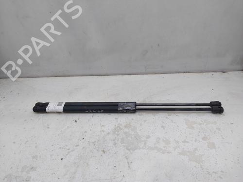 Tailgate lift support LAND ROVER RANGE ROVER SPORT I (L320) 2.7 D 4x4 | BP17612591C138 