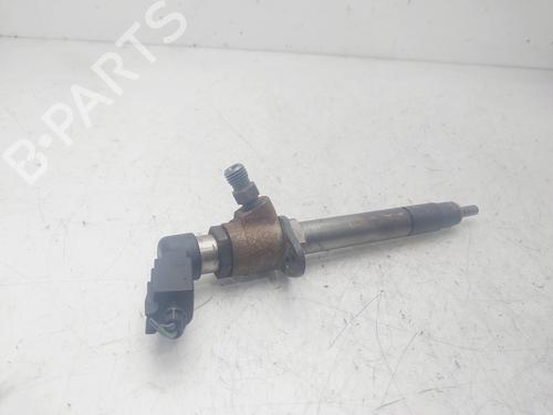 Injector LAND ROVER DISCOVERY III (L319) 2.7 TD 4x4 | BP29479791M100 