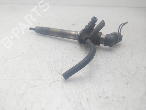 Injector LAND ROVER RANGE ROVER SPORT I (L320)  | BP29452494M100 