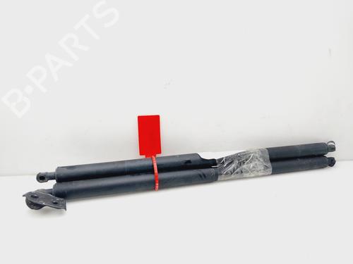 Tailgate lift support OPEL INSIGNIA A Sports Tourer (G09) 2.0 CDTI (35) | BP21600025C138 
