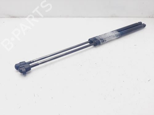 Tailgate lift support FORD FIESTA VI (CB1, CCN) 1.4 TDCi | BP22389559C138 