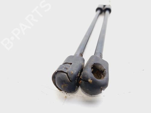Tailgate lift support SEAT LEON (1M1)  | BP25735057C138 