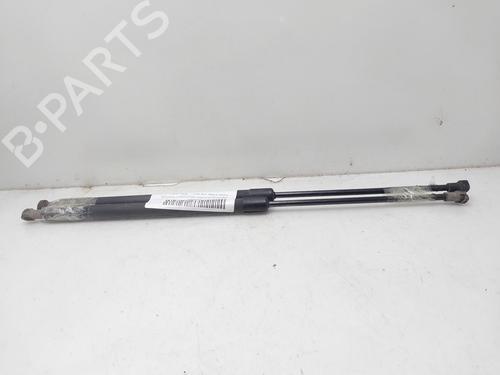 Tailgate lift support NISSAN X-TRAIL I (T30)  | BP16528770C138 