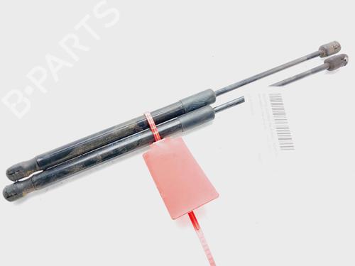 Used Tailgate lift support BMW X1 (F48) sDrive 16 d (116 hp) 18294921