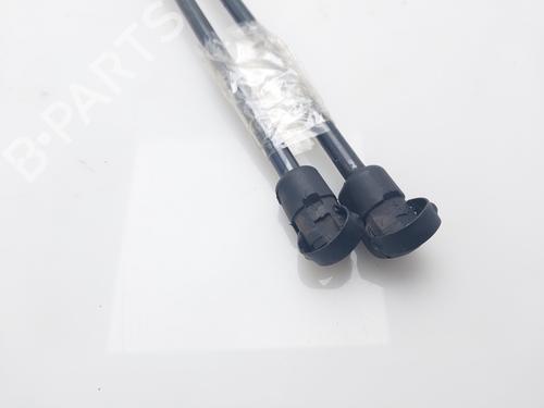 Tailgate lift support CITROËN C4 Coupe (LA_) 1.6 HDi | BP16007118C138 