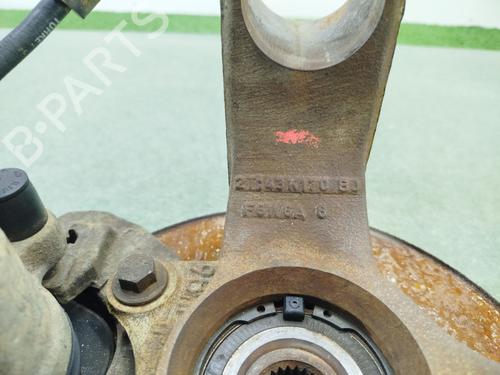 Left front steering knuckle FORD TRANSIT CONNECT (P65_, P70_, P80_) 1.8 Di | BP30978948M25