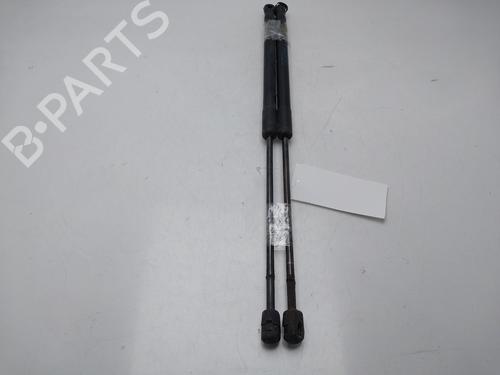 tailgate-lift-support-dacia-sandero-2008-34285914 main image