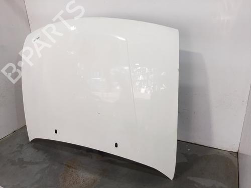 Hood FORD FIESTA IV (JA_, JB_) 1.3 i | BP12421079C1 
