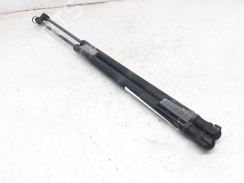 Used Tailgate lift support FORD FUSION (JU_) 1.4 TDCi (68 hp) 14000320