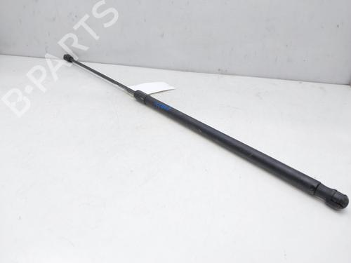 Hood lift support VW PASSAT B6 (3C2) 2.0 TDI | BP14009879C139 