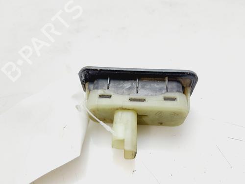 Tailgate handle RENAULT CLIO III (BR0/1, CR0/1)  | BP19306043C132 