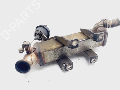 Egr RENAULT KOLEOS I (HY_) 2.0 dCi (HY0K) | BP20655152M69 