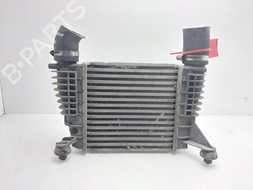 Intercooler Intercooler NISSAN NV200 / EVALIA Bus [2010-2026] 36781114 36781114